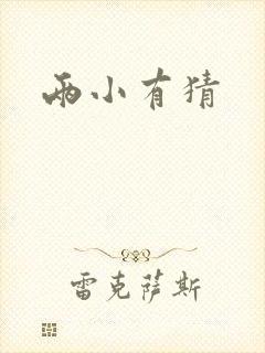 两小有猜封面
