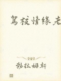 驾校情缘老赵