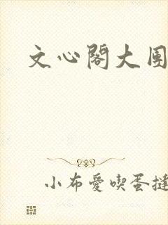 文心阁大团结