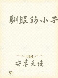 驯服的小子4