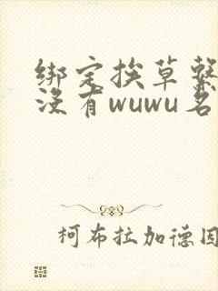 绑定挨草系统后没有wuwu名字