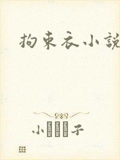 拘束衣小说封面