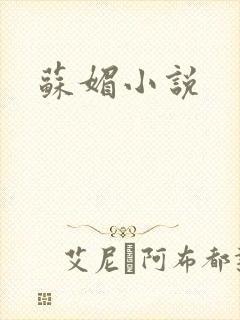 苏媚小说
