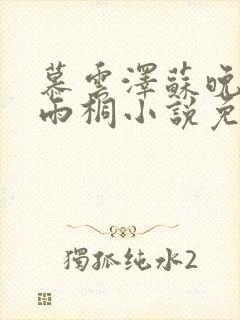 慕云泽苏晚晴夏雨桐小说免费阅读