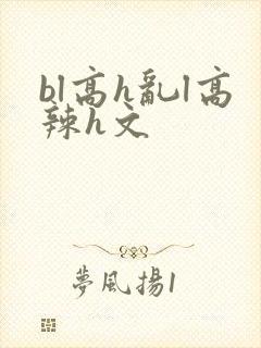 bl高h乱l高辣h文