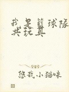 我是篮球队的公共玩具封面