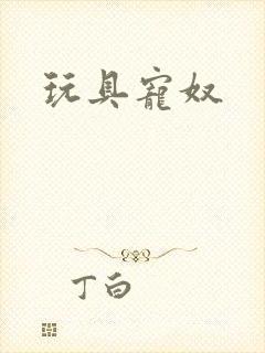 玩具宠奴