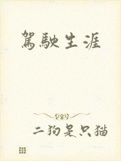 驾驶生涯