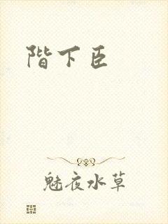 阶下臣