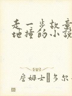 走一步故意深深地撞的小说封面