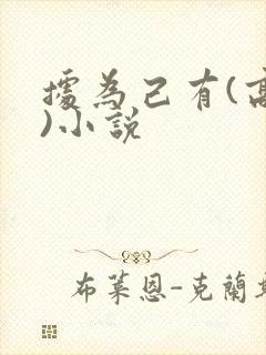 据为己有(高干)小说