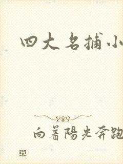 四大名捕小说