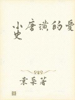 小唐璜的爱情历史