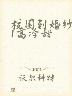 校园到婚纱1V1高冷甜封面