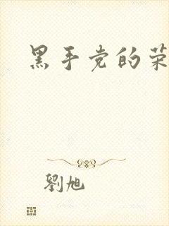 黑手党的荣耀