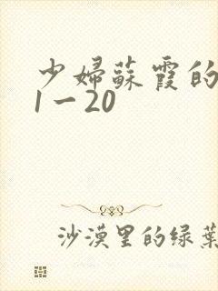 少妇苏霞的沉沦1一20