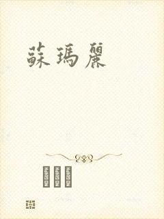 苏玛丽封面
