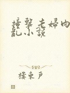 撞击老妇肉体之乱小说
