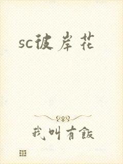 sc彼岸花