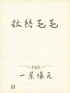 拉丝毛毛