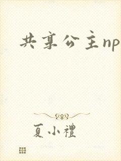 共享公主npc