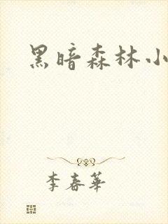 黑暗森林小说封面