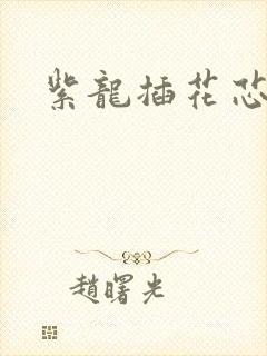 紫龙插花芯
