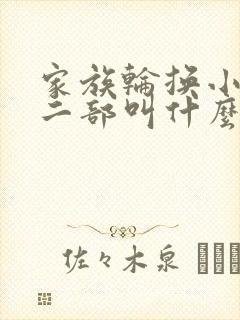 家族轮换小说第二部叫什么名字