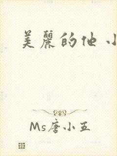 美丽的他 小说