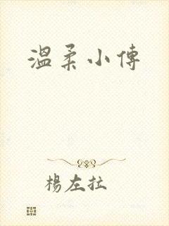 温柔小传封面