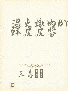 温火炖肉BY海鲜皮皮酱封面