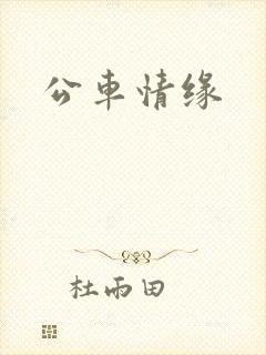 公车情缘