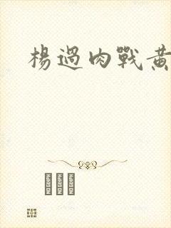 杨过肉战黄蓉