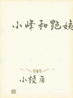 小峰和艳姨封面