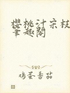 樱桃汁宋枝江野笔趣阁封面