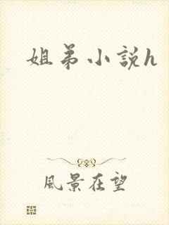 姐弟小说h封面