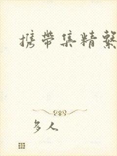 携带集精系统