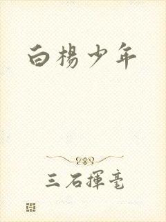 白杨少年封面
