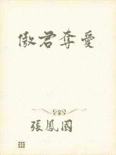 傲君夺爱封面