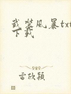 武装风暴txt下载