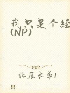 我只是个经纪人(NP)封面