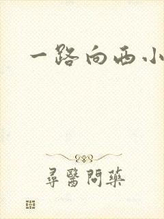 一路向西小说