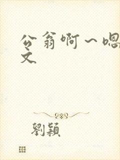 公翁啊～嗯啊h文