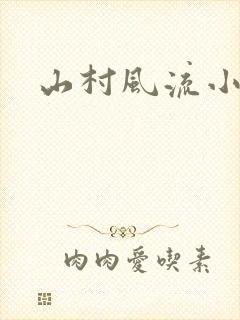 山村风流小说封面