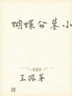 蝴蝶公墓小说封面