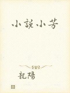 小说小芳
