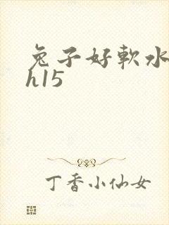 兔子好软水好多h15