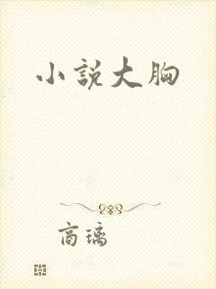 小说大胸