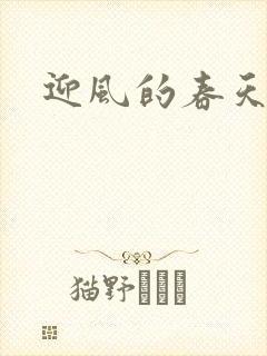 迎风的春天封面