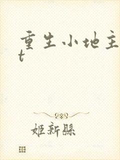 重生小地主txt